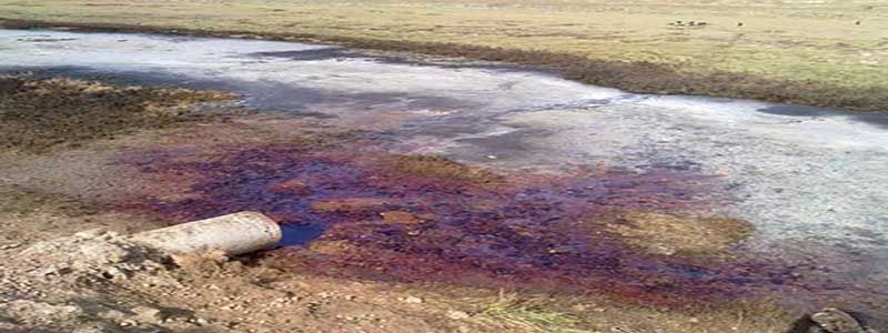 屠宰場污水處理用消泡劑